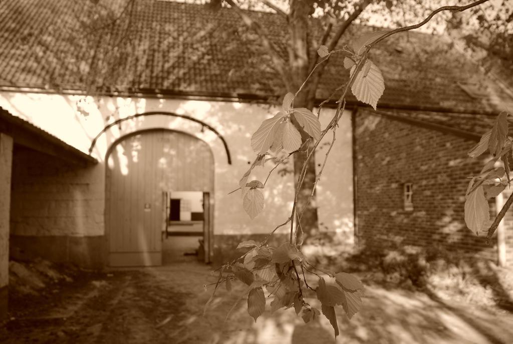 B&B De Oude Winning Riemst Exteriör bild